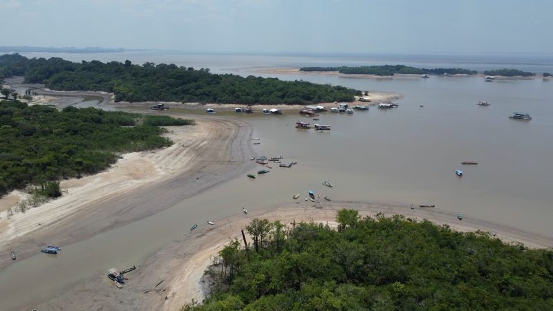 Manaus, Amazonas, Brazil 09.29.23 Areal view of a section of the Rio Negro. The river used to go up to the trees (mangroves)