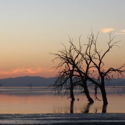 Sunset on the southeast side of the Salton Sea, California.