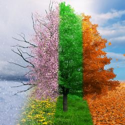 Seasons on Earth