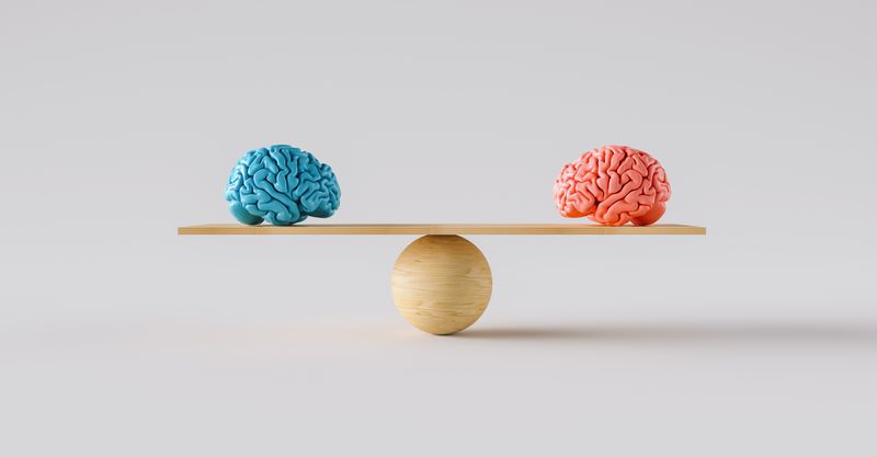 3D models of the human brain, one blue and one pink, exactly balanced on a wooden seesaw