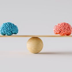 3D models of the human brain, one blue and one pink, exactly balanced on a wooden seesaw