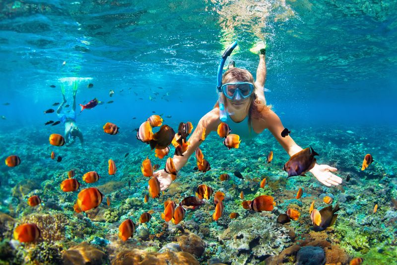 woman with a snorkeling mask on swimming underwater, surrounded by fish