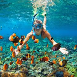 woman with a snorkeling mask on swimming underwater, surrounded by fish