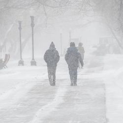 Figures walk along a park path during a blizzard. The snow has covered every surface and caused much lower visibility. A bench can be seen to the right of the image and there are trees lining the snow covered path.