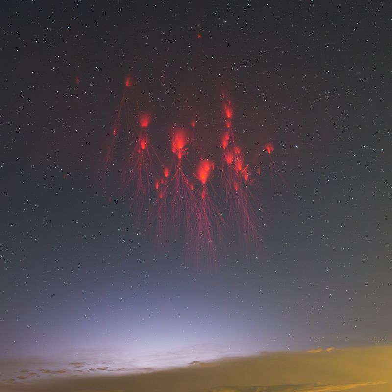 Photographer Wang Xin had to be extremely patient to capture this magnificent example of red sprite lightning in the Chongming District of Shanghai, China.