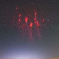 Photographer Wang Xin had to be extremely patient to capture this magnificent example of red sprite lightning in the Chongming District of Shanghai, China.