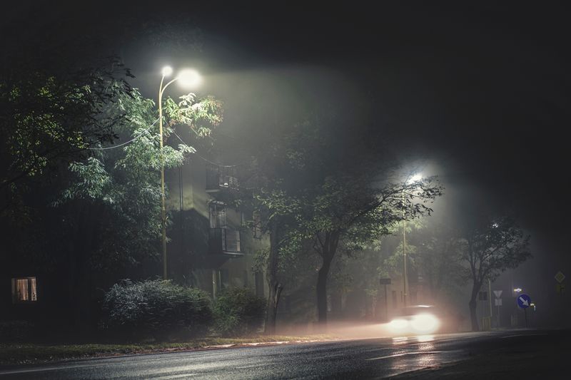 dark street in poor visibility with street lamps visible; the road is lined with trees and you can faintly see houses behind them