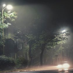 dark street in poor visibility with street lamps visible; the road is lined with trees and you can faintly see houses behind them