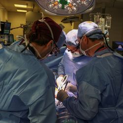 four surgeons working on the patient during the procedure; they're all wearing blue surgical gowns, caps and face masks