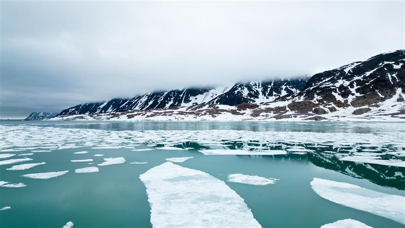 A photo of the green sea surrounding the coast of Svalbard. The photo shows sheets of ice in the water, as well as a slither of mist and snow covered cliffs near the water's edge. 