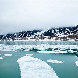 A photo of the green sea surrounding the coast of Svalbard. The photo shows sheets of ice in the water, as well as a slither of mist and snow covered cliffs near the water's edge. 