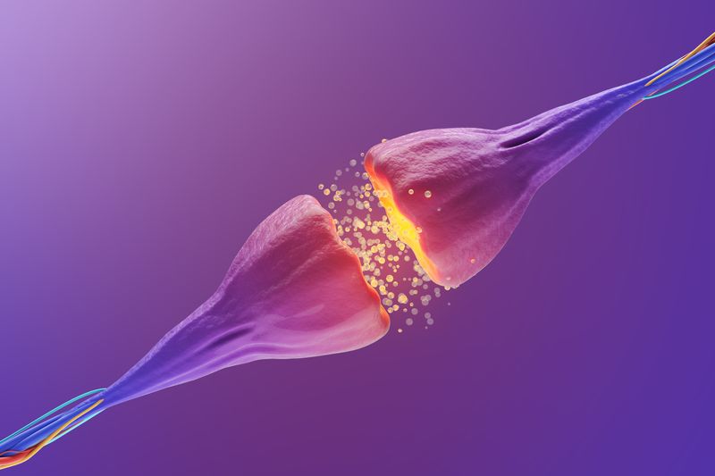 3D representation of a synapse, the junction between two neurons, with glowing yellow blobs to signify the passage of neurotransmitters across the synaptic cleft