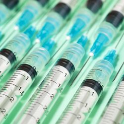 close-up of two rows of medical syringes lined up on a light green surface