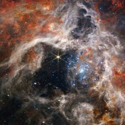 Tarantula nebula – a starforming region – seen by the James Webb Space Telescope.