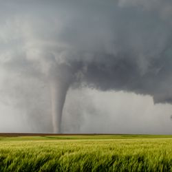 two tornadoes in an open field