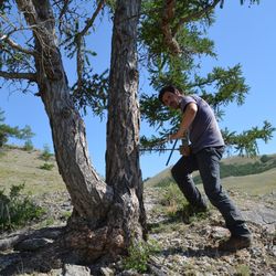 Taking a core out of old trees to measure the width of tree rings to provide a proxy of past summer temperatures can be hot work these days.