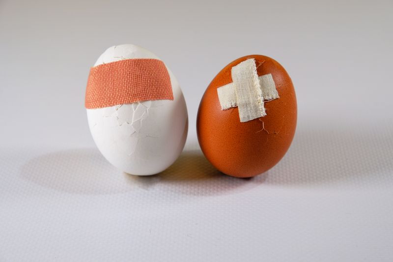 Two damaged eggs patched up with plasters