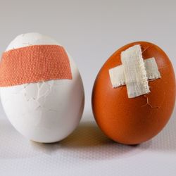 Two damaged eggs patched up with plasters