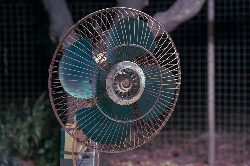 fan