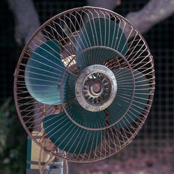 fan