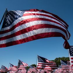 American US flags wave on a green field. 