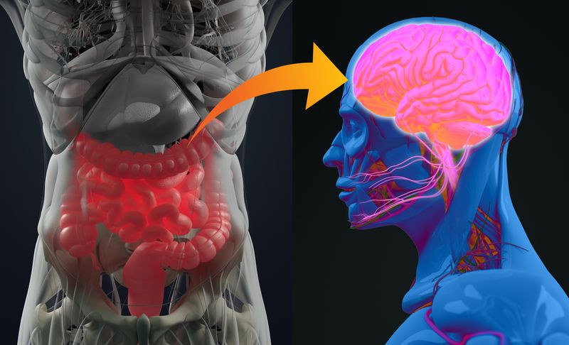 Gut-brain connection or gut brain axis.