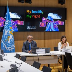 The first meeting of the Emergency Committee (EC) convened by the WHO Director-General under the International Health Regulations (2005) (IHR) regarding the upsurge of mpox 2024 took place on 14 August 2024. Photo show three WHO committee members sitting at a table with a WHO flag and two screens behind them