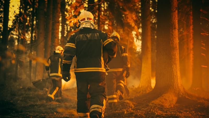 Three US firefighters walk into a woodland that appears to be on fire. The photo shows the glow of the flames. The firefighters have their backs turned to the camera. 