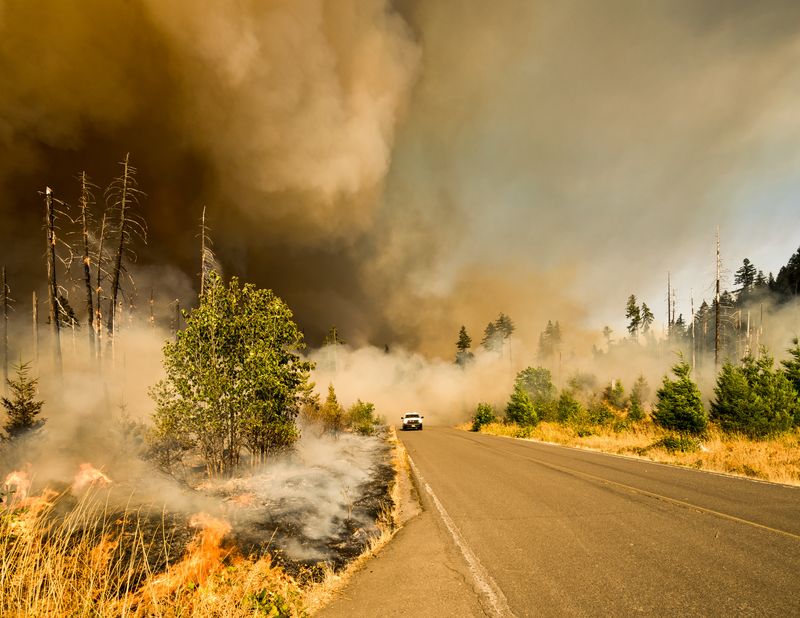 Car driving on a road through a wildfire in North America