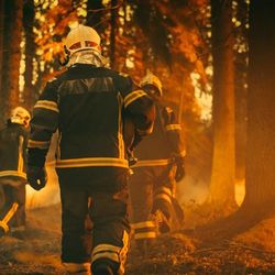 Three US firefighters walk into a woodland that appears to be on fire. The photo shows the glow of the flames. The firefighters have their backs turned to the camera. 