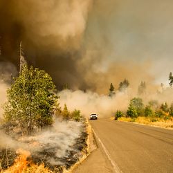 Car driving on a road through a wildfire in North America