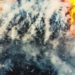 Fire in the forest, burning trees and grass. Natural fires in Russia.