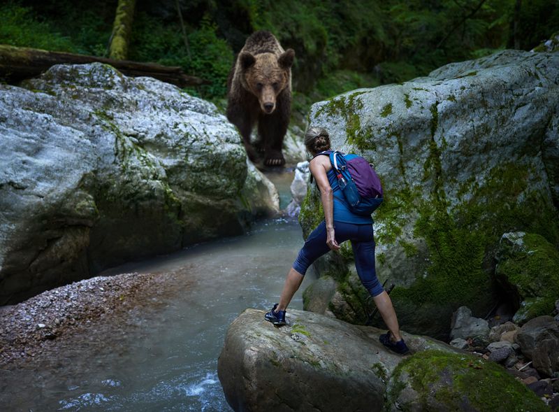 hiker on a rocky trail with back to camera, surprised by a grizzly bear