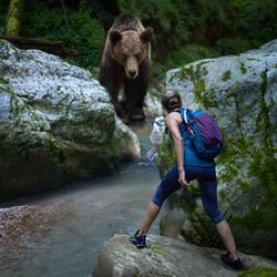 hiker on a rocky trail with back to camera, surprised by a grizzly bear