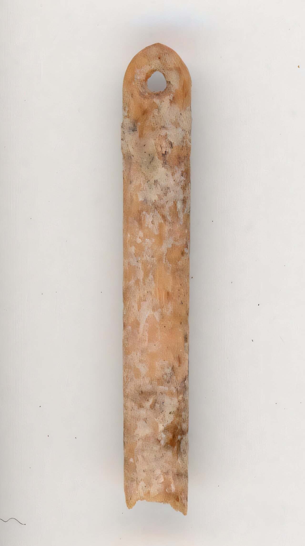 An eyed needle made from the bone of a red fox found at the LaPrele archaeological site in Wyoming's Converse County. 