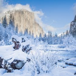 Yosemite closed