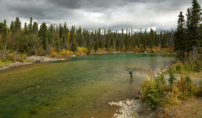 Man flying fishing in the Yukon River, The Yukon River Basin, Canada, Alaska.