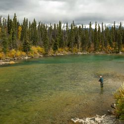 Man flying fishing in the Yukon River, The Yukon River Basin, Canada, Alaska.