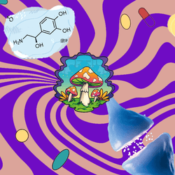 trippy purple and brown background with a psychedelic cartoon mushroom in the middle, surrounded by different-coloured pills, the chemical structures of serotonin and norepinephrine, a nasal spray, a blue 3D rendering of a synapse, and orange pill bottles