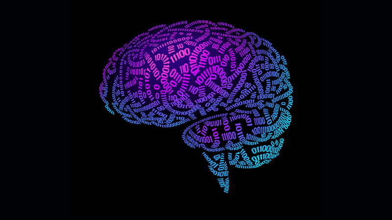 illustration of the human brain on a black background; the brain is composed of strings of binary code, curved to represent the shape of the surface, in shades of purple and turquoise