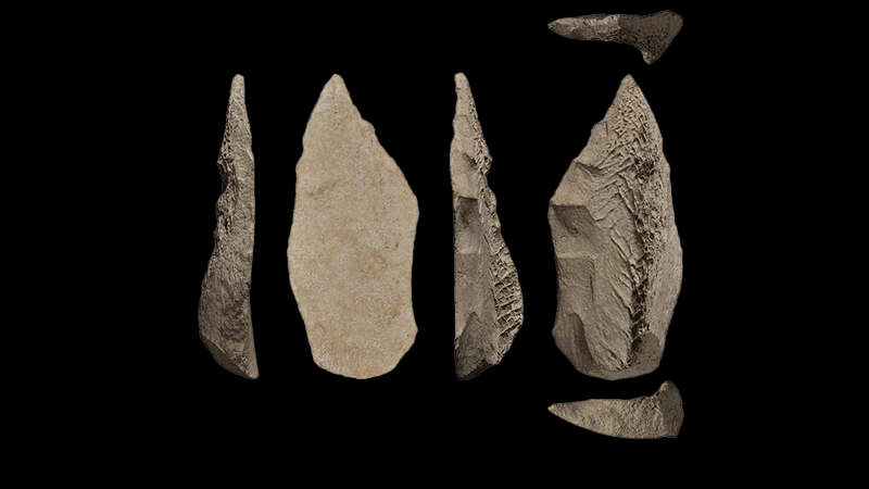 The image shows the spear point in various orientations. The first and third are side profiles while the second shows the bone's surface face up. On the far right the bone has been reversed so we can see its rough underside.