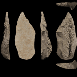 The image shows the spear point in various orientations. The first and third are side profiles while the second shows the bone's surface face up. On the far right the bone has been reversed so we can see its rough underside.