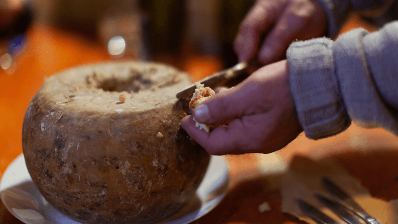 someone cutting into a wheel of casu marzu