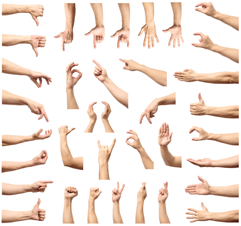 Disembodied photographed human hands and forearms performing various gestures on a white background