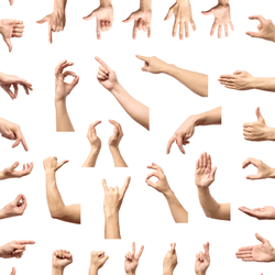 Disembodied photographed human hands and forearms performing various gestures on a white background