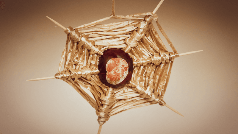 a conker in the middle of a handmade spiderweb