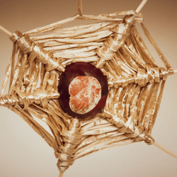 a conker in the middle of a handmade spiderweb