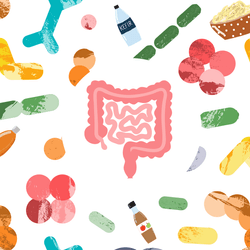 illustration of the human gut, surrounded by drawings of bacteria and fermented foods