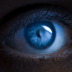 a close up image of an eye showing what they can see in reflection