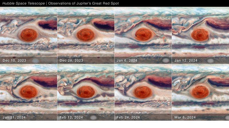 Eight Hubble images showing Jupiter's Great Red Spot. The GRS appears as a bright red oval in the middle of cream-colored cloud bands. The images trace changes in the GRS's size, shape, brightness, color, and twisting sometimes looking thinner and other times thicker